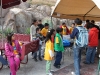 IMG_5047 copy